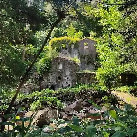 Herdade Hortênsias * Santo Antao